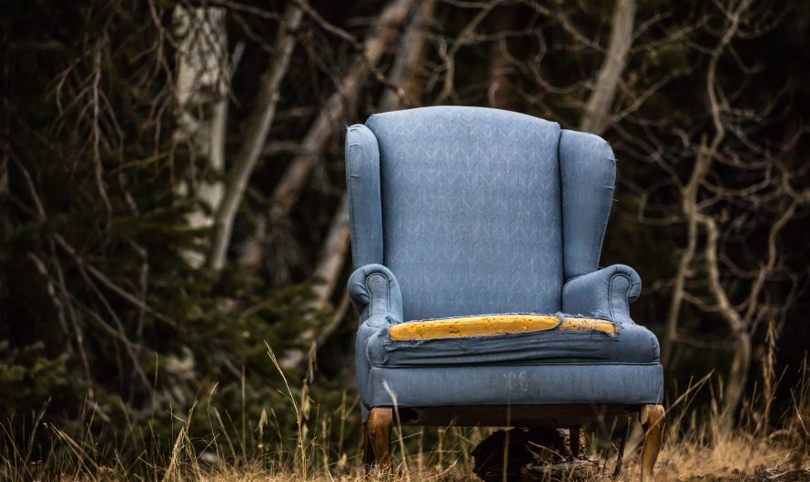 Relooker un fauteuil bergère : que faut-il faire ?